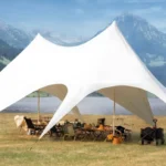 Customized-Shelter-Arch-Tent-Beautiful-Star-Shaped-Custom-Star-Tents-with-Single-Peaks-Spider-Tent-for-Outdoor-Display-Events
